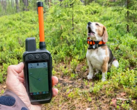 Hunter using Alpha XL in the field